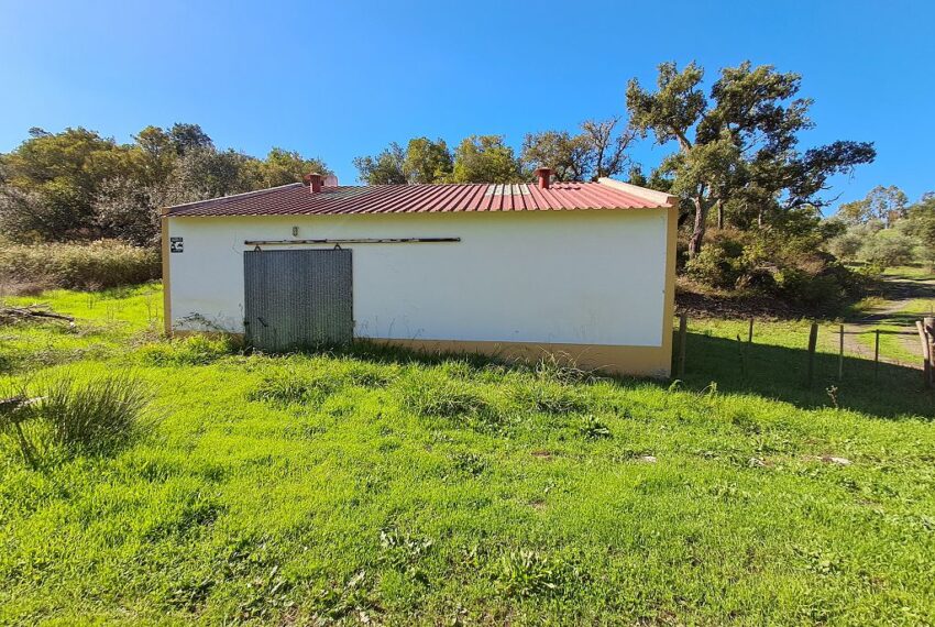 4 bedroom country house land Alentejo West Coast Cork Olives Pool (4)